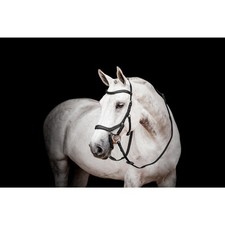 Horseware Micklem 2 Wettkampf