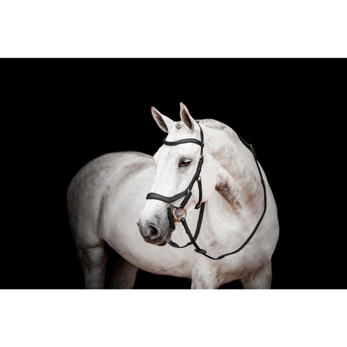 Horseware micklem wettkampf - micklem,
