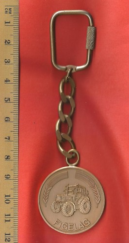 Fiat bank figelag - x,