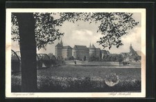 Ansichtskarte Torgau an der