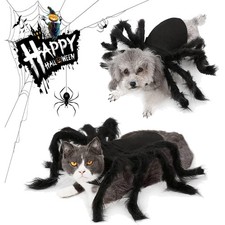 Lustiges Haustier Spider