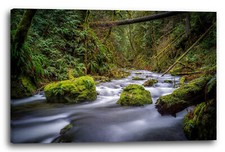 Wandbild Fluss river Amazonas