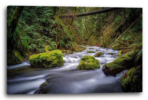Wandbild fluss river - wandbild,