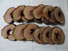 Hohle Baumscheibe Pflaume 1 St. Holzscheibe DEKO Basteln ca.16-19 x 15 x 2,7 cm.