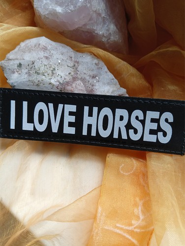 Love horses klettlogo 11 - i,
