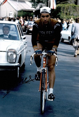 Eddy merckx signed - 12x8, foto