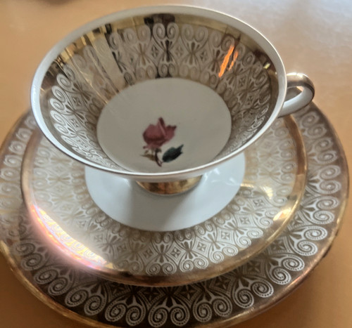 Vintage winterling - vintage,