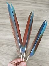 3 blau rote ?❤️ Vogelfeder Papageienfeder Feder Papagei basteln mit MAKEL! 