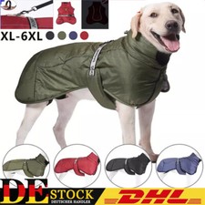   Großer Hund Outdoor Warme
