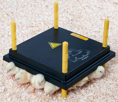 Küken wärmeplatte comfort - küken-wärmeplatte,