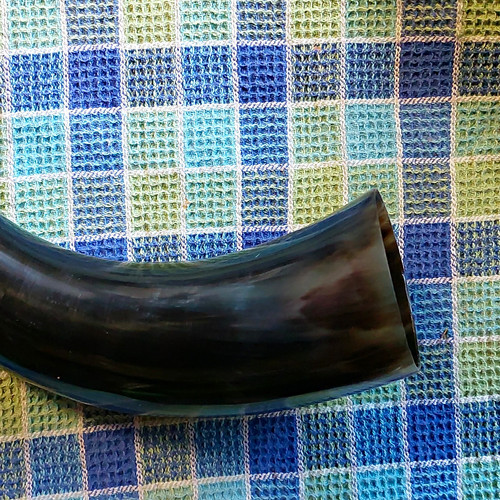 Gebogenes trinkhorn aus - trinkhorn,