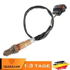 Lambdasonde Regelsonde