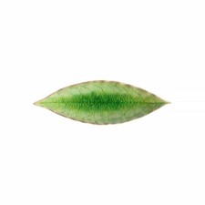 Snack-/Beilagenteller Blatt