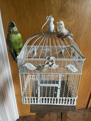 Romantischer vogelkäfig weiß - vogelkäfig,