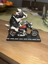 Highway Holstein Kuh auf Motorrad