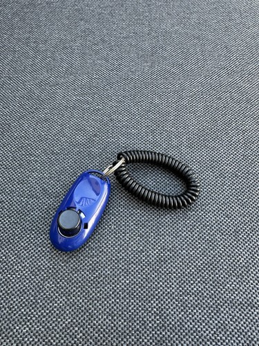 Anione basic clicker training - anione,