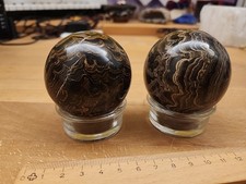 2 Stromatolith Kugeln 542g Fossile Algen Heilstein 