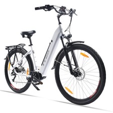 28 Zoll Elektrofahrrad 250W