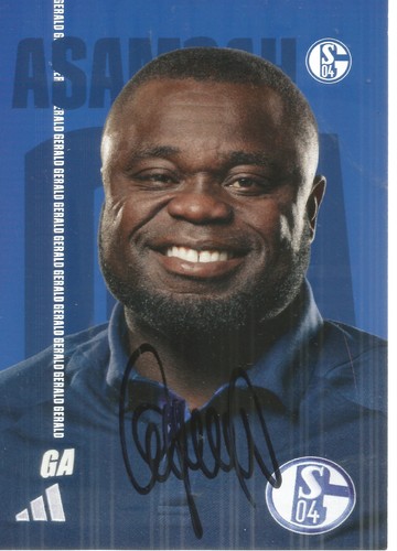 Gerald asamoah fc schalke - asamoah,