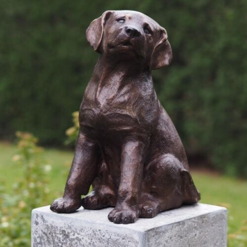 Bronzefigur labrador welpe - bronzefigur, labrador-welpe