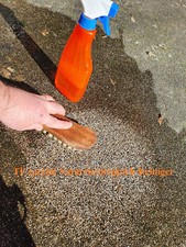 Steinteppich Reiniger Spezialreiniger vom PROFI für Balkon Wege Kieselböden