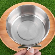  Papagei Futtersuche Fall Bird