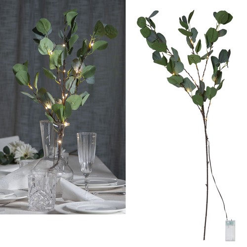 Led eukalyptus zweige mit - eukalyptus-zweige,