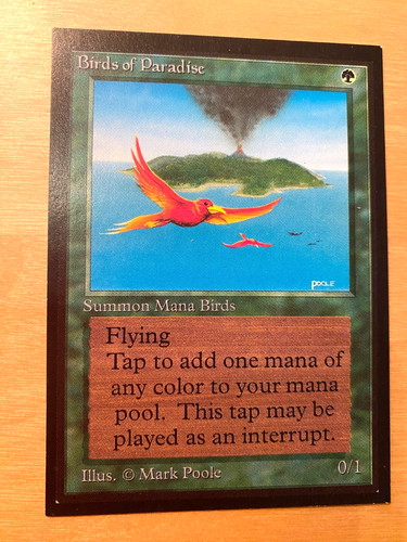 Mtg birds paradise - birds, of
