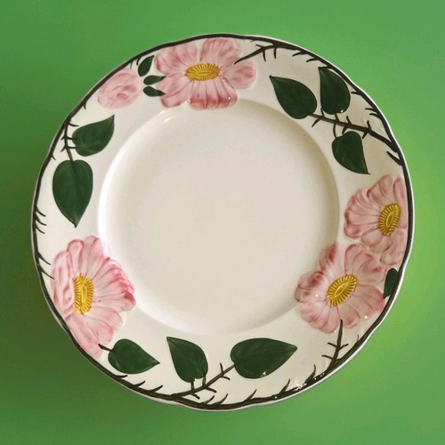 Villeroy boch wildrose - &,