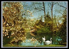 Ansichtskarte Frankfurt am