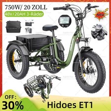 E-Trike 20" Lastenrad 48V20AH