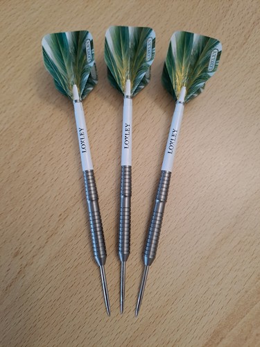 Steeldarts loxley hood - 24g, /