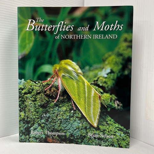 Butterflies and moths - butterflies,