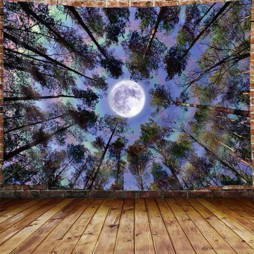 Mond wald natur poster xxl - mond,