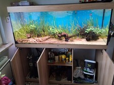 Juwel Rio 450 mit Unterschrank komplett mit Besatz und Zubehör Gebraucht