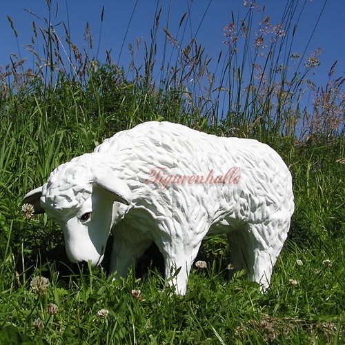 Schaf schäfchen tierfigur - schaf,