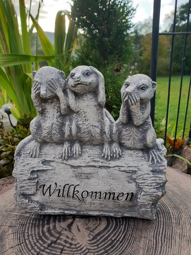 Erdmännchen familie - erdmännchen,