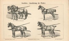 Geschirre (Anschirrung der Pferde): 1. Rationelles Arbeitsgeschirr. 2. Selletges