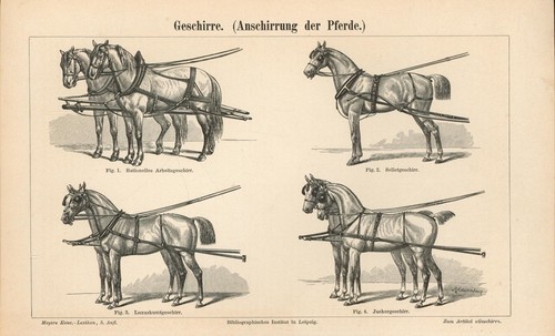 Geschirre anschirrung der - geschirre,