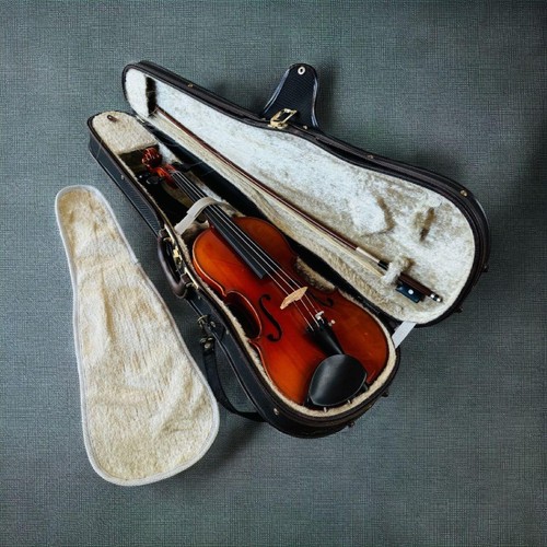 Karl hofner bubenrenth - hofner,