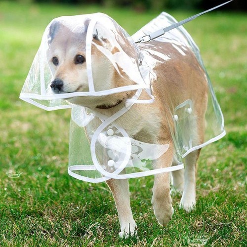 Hunde-Regenmantel