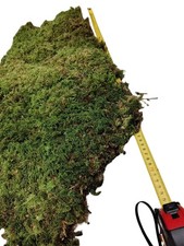 Terrarium Bodengrund XL Moosplatte, Substrat, Terrarien, Reptilien, Moss, Deko