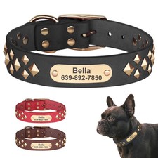 Hundehalsband Lederhalsband Name Gravur Personalisiert Haustier Katze Weiches