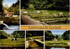 51654177 - 7540 Neuenbuerg