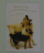 1x Postkarten Geburtstag Hunde