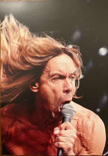Iggy pop poster - photo, large
