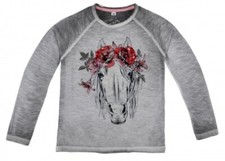 Raglanshirt in Grau Melange