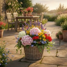 Weide Pflanzgefäß rund mit