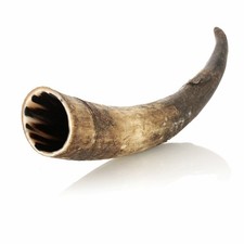 Wikinger Trinkhorn ca. 0,3