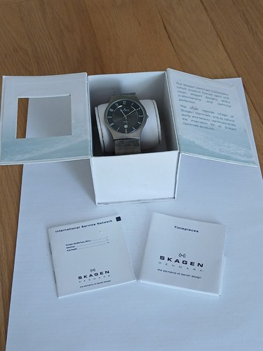 Herrenuhr skagen titan - herrenuhr,
